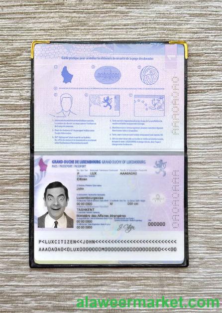 Luxembourg passport photo look